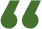 Illustration of enlarged green quotation mark 